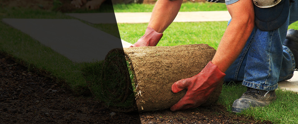 Beachwood Landscapers